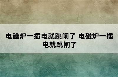 电磁炉一插电就跳闸了 电磁炉一插电就跳闸了